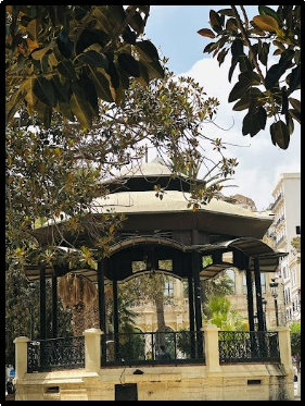 Media Image